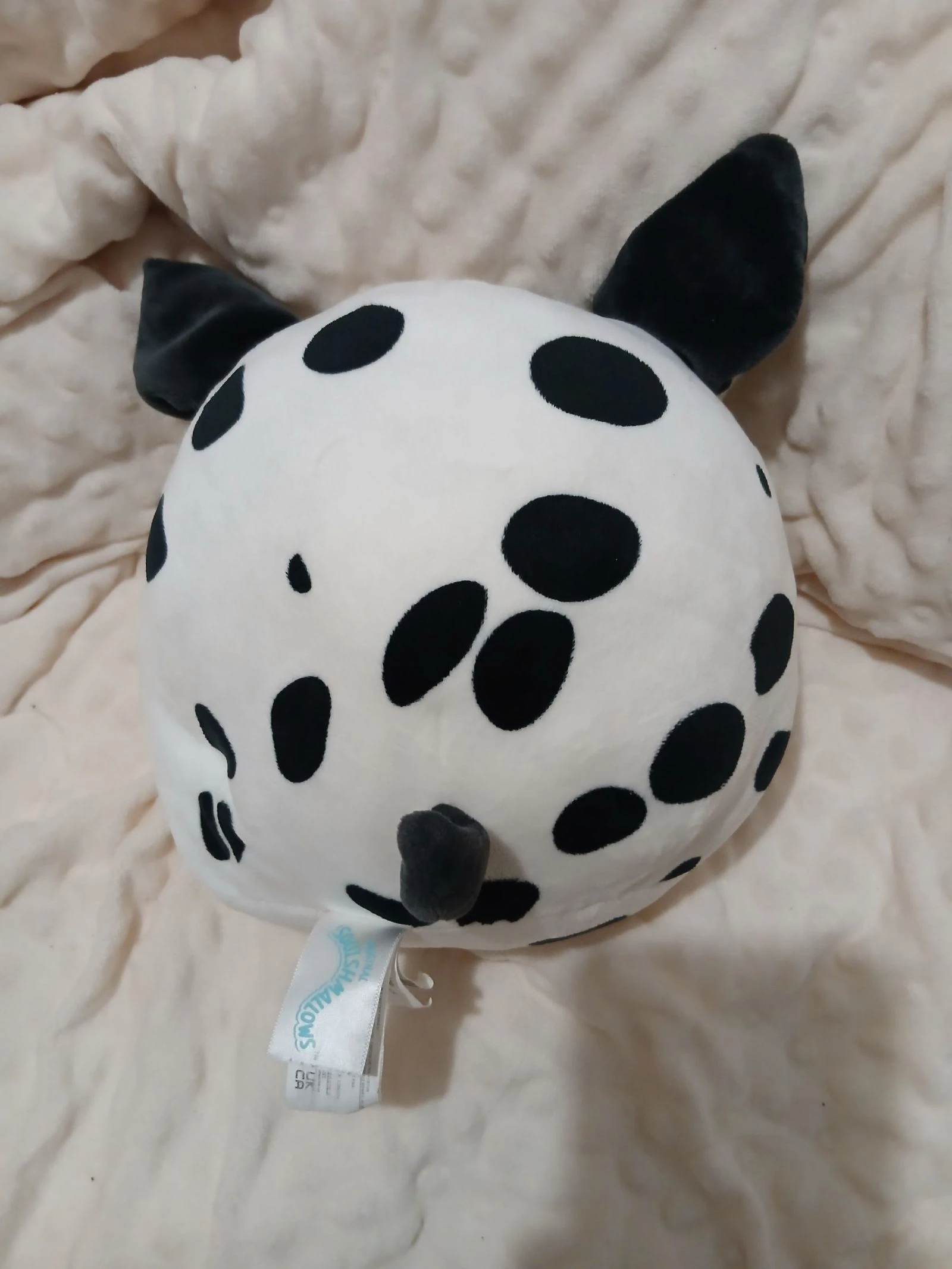 Peluche Squishmallow perro dálmata – photo 2